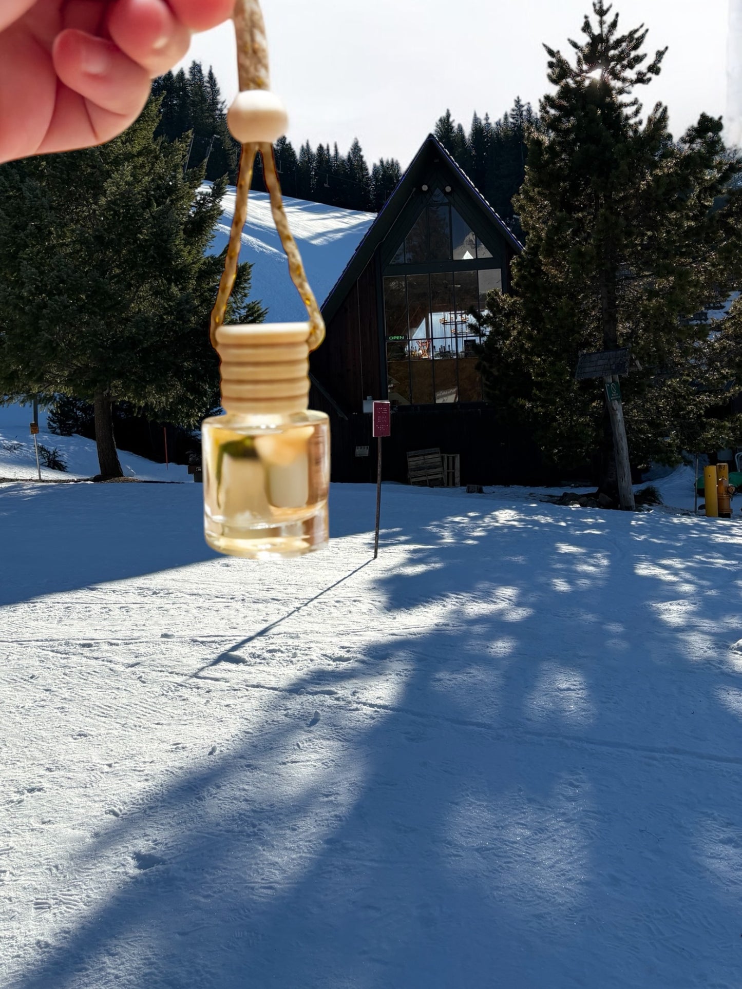 Mt Hood Car Freshie